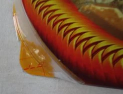 Indiana Jones -Dr. Henry Jones – Last Crusade -Trendy Toy Store IMG 1061