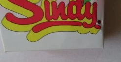 Sindy Vintage Funtime In Spotted To By Pedigree -Trendy Toy Store IMG 3054